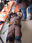 db_Umzug_BOserOrt-581