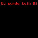 db_Fasnetsausrufen-101